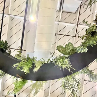 Looking up at the suspended circular plant stand.