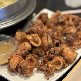 Fried Calamari