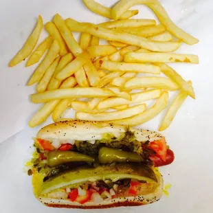 a hot dog and french fries