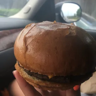 6~22~16 cheeseburg absolutely Horrible, dry, basically a blasphemy! Never had a burger sooo Nasty in "ME" lifes living!