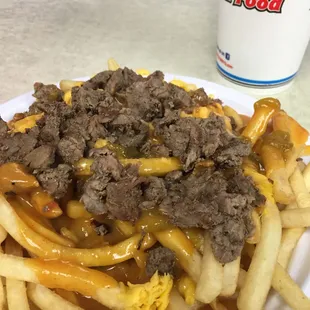Carne asada chili cheese fries