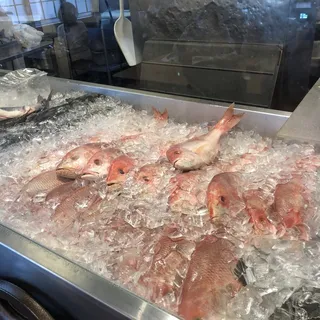 Selection of Fresh Seafood