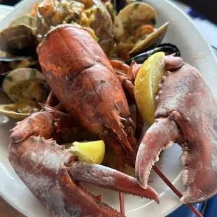 Maine Lobster dish