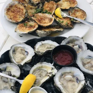 Raw Virginia Oysters and Chicago Baked Oysters!