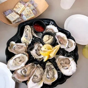 Dozen Oysters! Fresh &amp; Delicious!