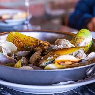 clams &amp; mussels