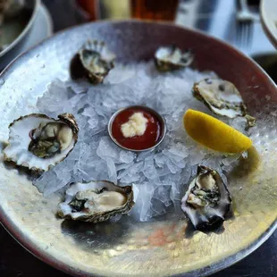 oysters