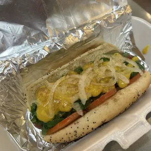 Chicago Style Hotdog