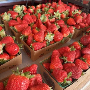 a display of fresh strawberries