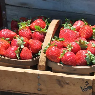 Orange County's BERRY Finest. Hand picked and delivered every morning.