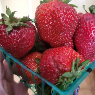 a basket of strawberries