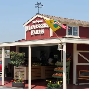 Certified Organic Strawberries, organic and conventionally grown fruits and veggies, Awesome walk it farm stand.