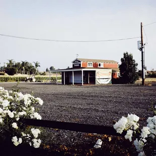 Movin' to the country, gonna eat a lot of peaches.