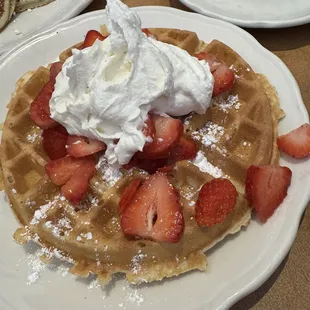 Fresh Strawberries Belgium