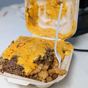 Cheese Fries With Steak