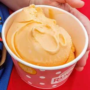 Orange Sherbet in a Cup at The Original Rainbow Cone Navy Pier