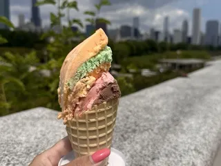 The Original Rainbow Cone - Shedd Aquarium