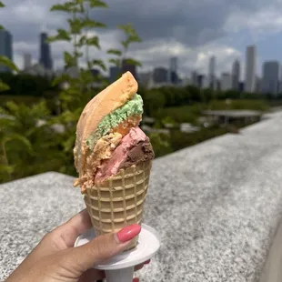 The Original Rainbow Cone - Shedd Aquarium