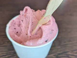 FRÍO Gelato - Navy Pier