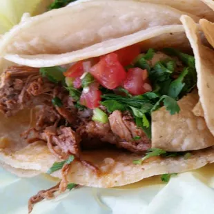 Shredded Beef