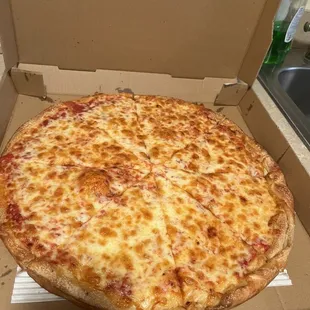 Plain Pizza