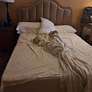 The bed is still in the same manner in the afternoon as it was when we just got out of bed in the morning...