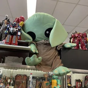 Another cutie high up