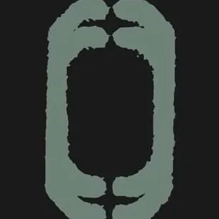 a black and green logo