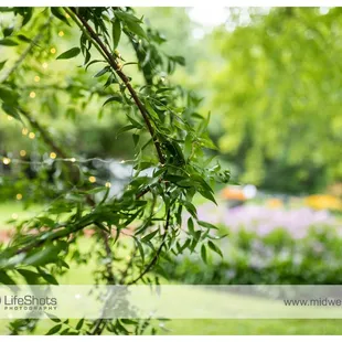 ©Midwest LifeShots Photography, www.midwestlifeshots.com