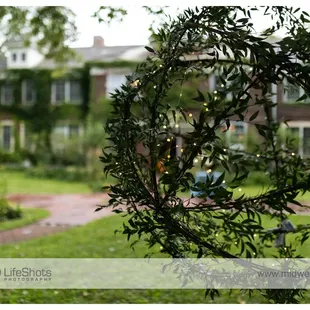 ©Midwest LifeShots Photography, www.midwestlifeshots.com