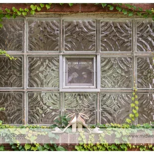 ©Midwest LifeShots Photography, www.midwestlifeshots.com