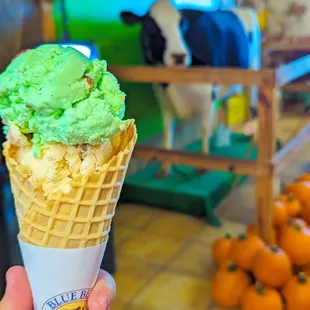 a hand holding a cone of ice cream