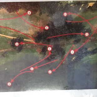 Course layout