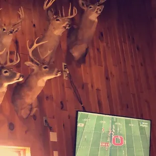 Great place to watch the game!