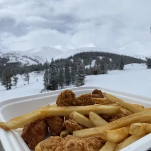 Chicken Tenders and Fries
