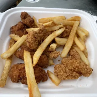 Chicken Tenders and Fries