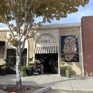 The Owl Box storefront in Downtown Tracy