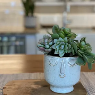 Face Pot $24
Get it here https://theowlbox.com/friendly-face-pot/