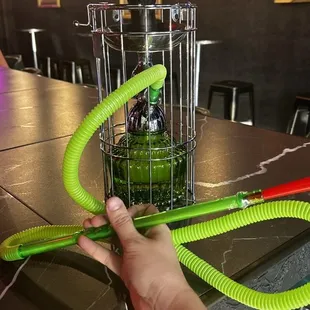a person&apos;s hand holding a green snake in a cage