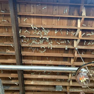 Dollars on the ceiling