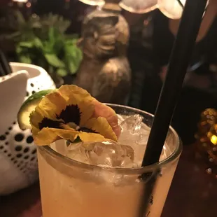 Paloma