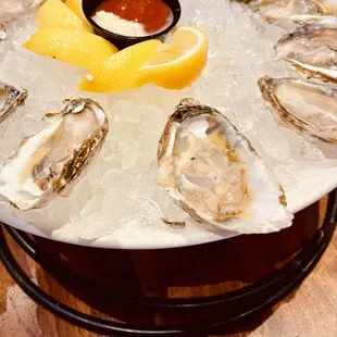 blue point oysters