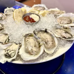12 oysters&apos; komamoto&apos;s
