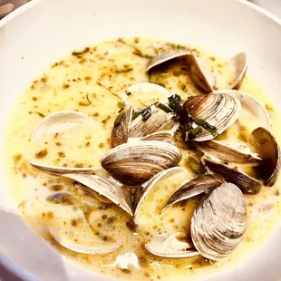 linguine with clam sauce