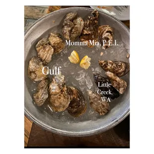 Oysters on the Half Shell