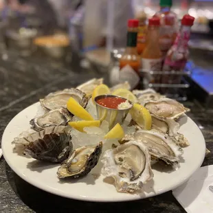 Oysters on the Half Shell
