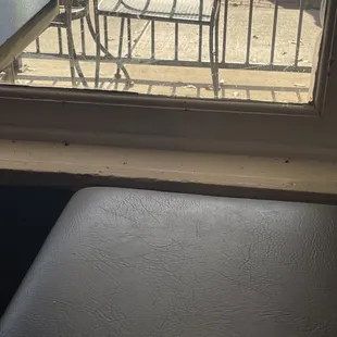 Dead flies next to the booth