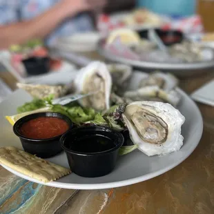 Steamed Oysters