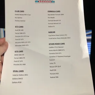 Different cars you can race