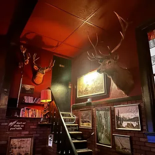 a deer head mounted on the wall
